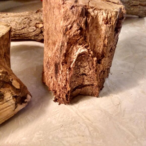 Two Small Real Wood Tree Stumps Fairy Garden Gnome Village Rustic Accent - Picture 4 of 11
